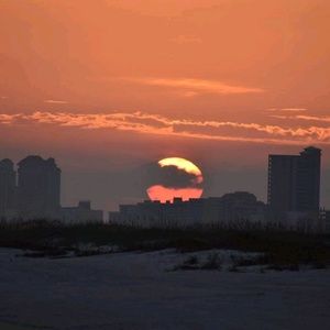 Meet your Posher, Tonnia